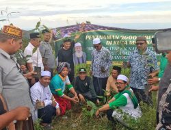 PWNU Aceh Tanam 2.000 Pohon Peringati 1 Abad Nahdlatul Ulama