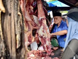 Meugang Ramadhan, Sabang Potong 50 Ekor Sapi dan 2 Kerbau