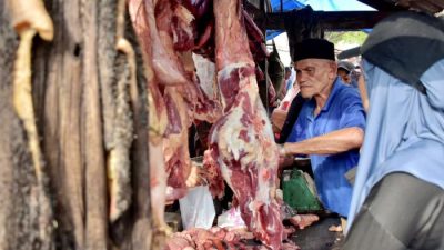 Meugang Ramadhan, Sabang Potong 50 Ekor Sapi dan 2 Kerbau