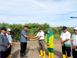 PN Banda Aceh Tanam 2.000 Mangrove Untuk Jaga Ekosistem Pesisir