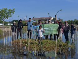 FJL Peringati Hari Lingkungan Sedunia dengan Aksi Tanam Mangrove di Pesisir