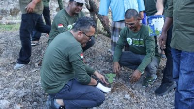 Sabang Mulai Budidayakan Tanaman Nilam