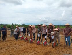 Aceh Singkil Lakukan Penanaman Jagung Serentak di Tanah Bara