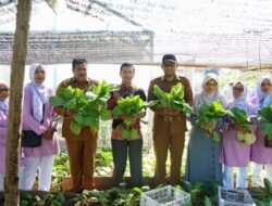 Farid Nyak Umar Sebut Aktivitas KWT Mandiri Tani Dukung Ketahanan Pangan Lokal