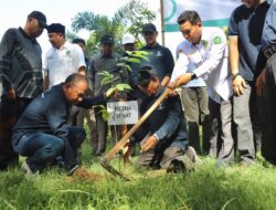 UIN Ar-Raniry Tanam 500 Pohon Matoa pada Hari Bumi
