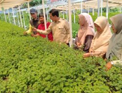 Ketua DPRK Banda Aceh Dorong Galakkan Urban Farming untuk Ketahanan Pangan