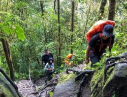 Gunung Burni Telong Naik Status Waspada, PVMBG Pantau Aktivitas Magma