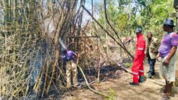 Cuaca Panas, BPBD Aceh Besar Imbau Warga Waspada Kebakaran