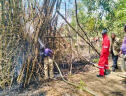 Cuaca Panas, BPBD Aceh Besar Imbau Warga Waspada Kebakaran