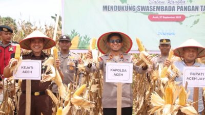 Kapolda Panen Raya Jagung di Aceh Jaya, Hasil Kuartal III Capai 353 Ton