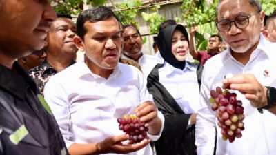 Menko Pangan: Dana Rp 3 Miliar Siap Dongkrak Ekonomi Desa