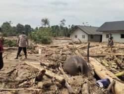 FJL Aceh Soroti Kerusakan Lingkungan di Balik Banjir dan Longsor Berulang