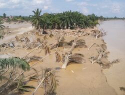 Banyak Lokasi Masih Terisolir, Korban di Aceh Tamiang Terus Bertambah