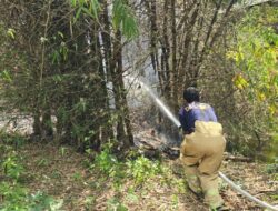 Rumpun Bambu Terbakar, Damkar Cegah Api Menjalar ke Rumah Warga