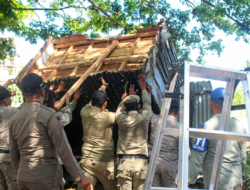 Penertiban Berlanjut, Lapak PKL di Jalur Malahayati Dibongkar