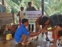 PW ISNU Aceh Salurkan Hewan Kurban ke Tiga Daerah