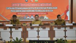 Pemulihan Pascabencana Aceh Belum Tuntas, Sawah hingga Jembatan Jadi Sorotan