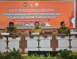 Pemulihan Pascabencana Aceh Belum Tuntas, Sawah hingga Jembatan Jadi Sorotan