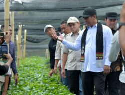Mentan Pastikan Dukungan Penuh untuk Pengembangan Kopi Gayo