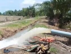 Banjir Rusak Irigasi, Petani Andalkan Pompanisasi untuk Tetap Panen
