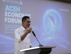 Rehab 81 Ribu Ha Lahan Pertanian Jadi Kunci Pemulihan Ekonomi Aceh
