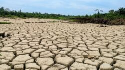 16.276 Hektare Sawah Rusak Berat Masih Menunggu Rehabilitasi