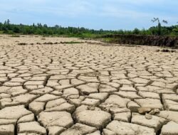 16.276 Hektare Sawah Rusak Berat Masih Menunggu Rehabilitasi