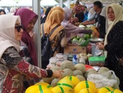 Pasar Tani Aceh di Bireuen Catat Omzet Rp68,88 Juta