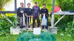 DNA Barcoding Ungkap 21 Spesies Ikan di Mangrove Aceh Barat