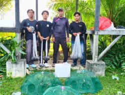 DNA Barcoding Ungkap 21 Spesies Ikan di Mangrove Aceh Barat