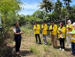 Mahasiswa Biosains Hewan UTU Pelajari Ekosistem Mangrove di Aceh Jaya