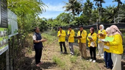 Mahasiswa Biosains Hewan UTU Pelajari Ekosistem Mangrove di Aceh Jaya