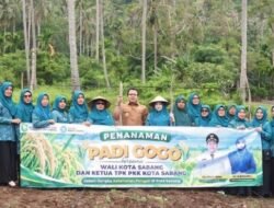 Sabang Kembangkan Padi Gogo, Wali Kota Minta Petani Diperkuat